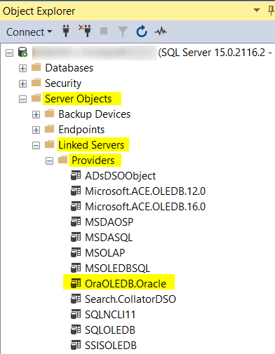 Microsoft SQL Server - Target environment